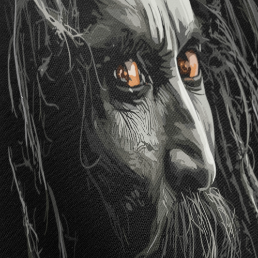 PRDGY Aghori Oversized T-Shirt