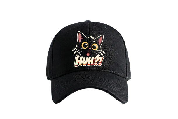 PRDGY Confused Cat Cap