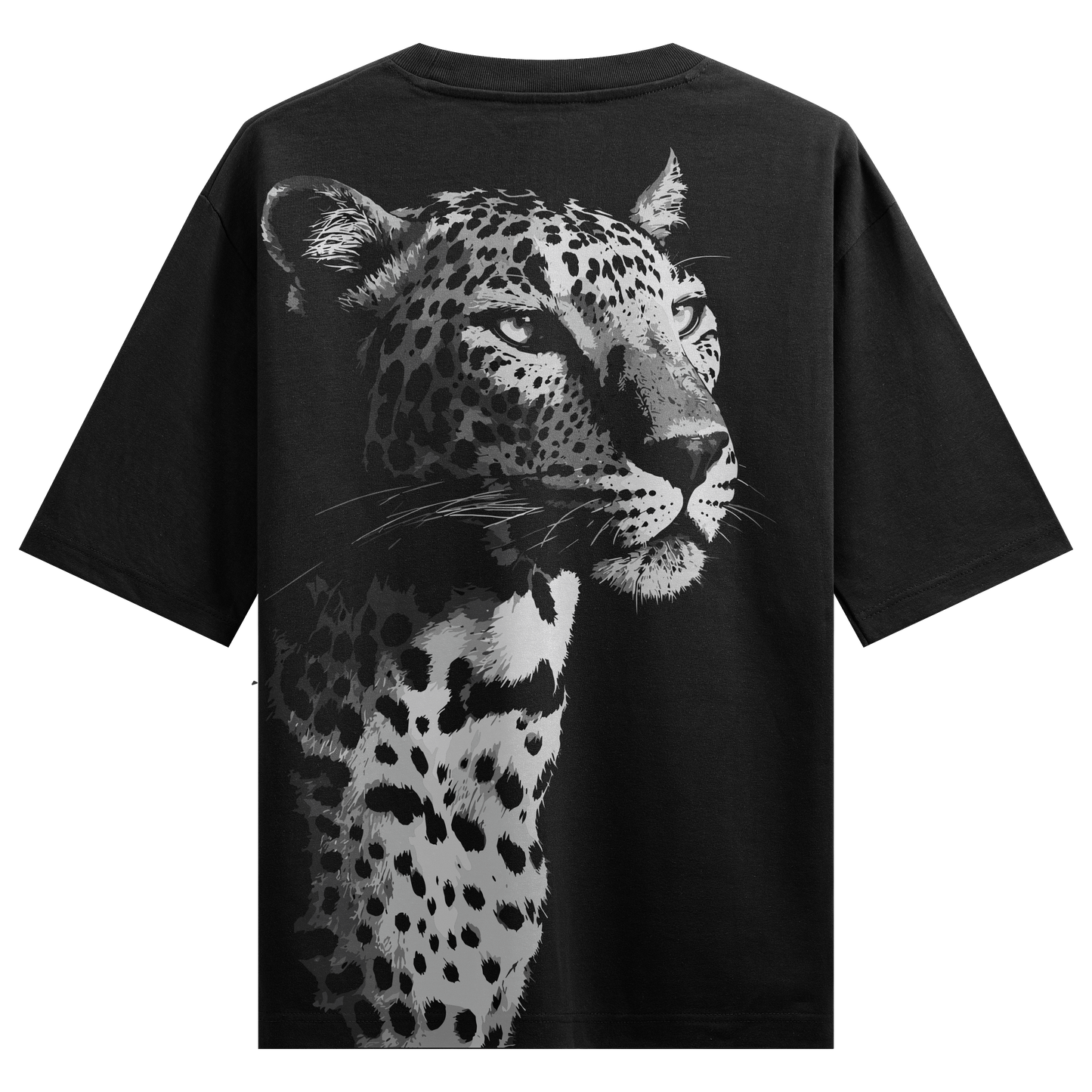 PRDGY Observe Oversized t-shirt