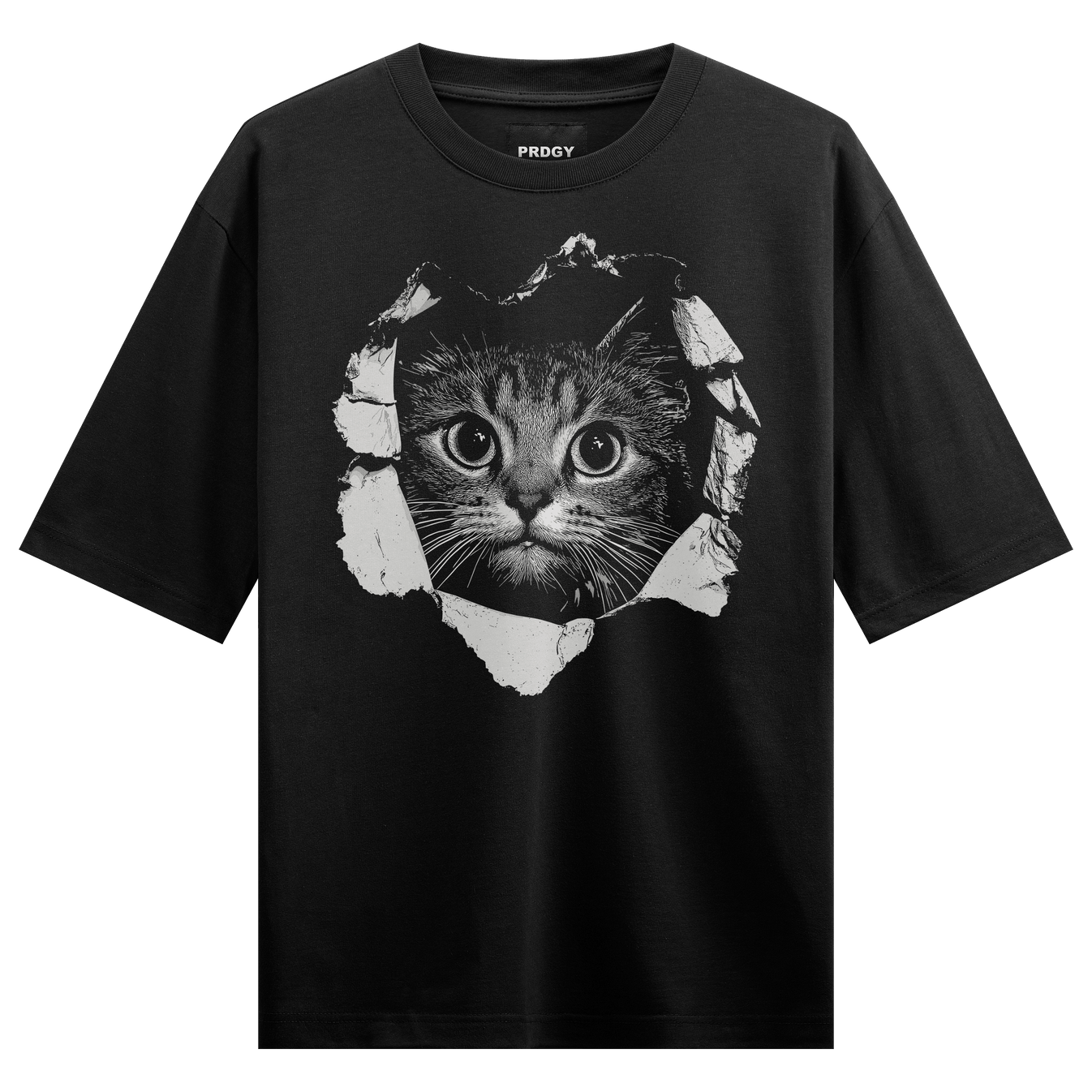 Funny Cat artwork on PRDGY oversized t-shirt