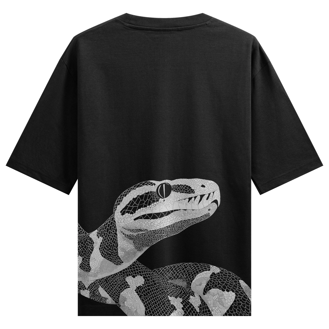 Snake artwork on PRDGY oversized t-shirt