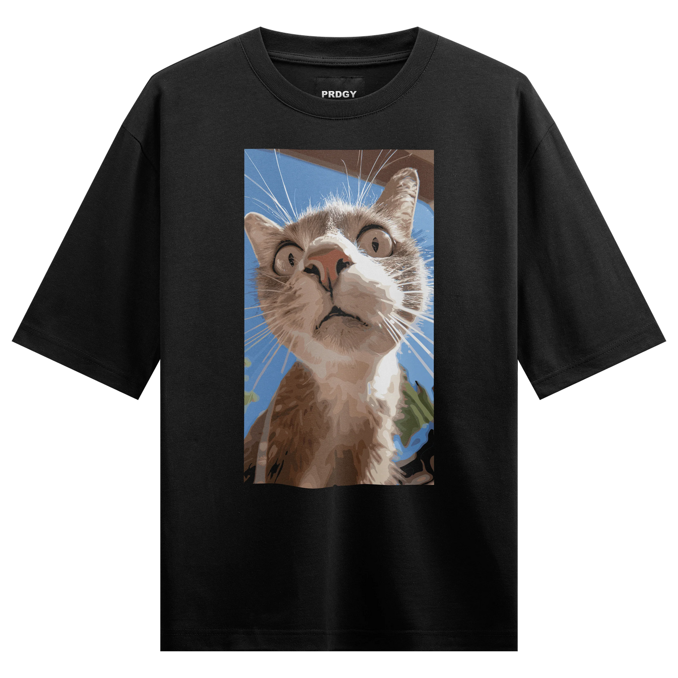 Funny Cat artwork on PRDGY oversized t-shirt