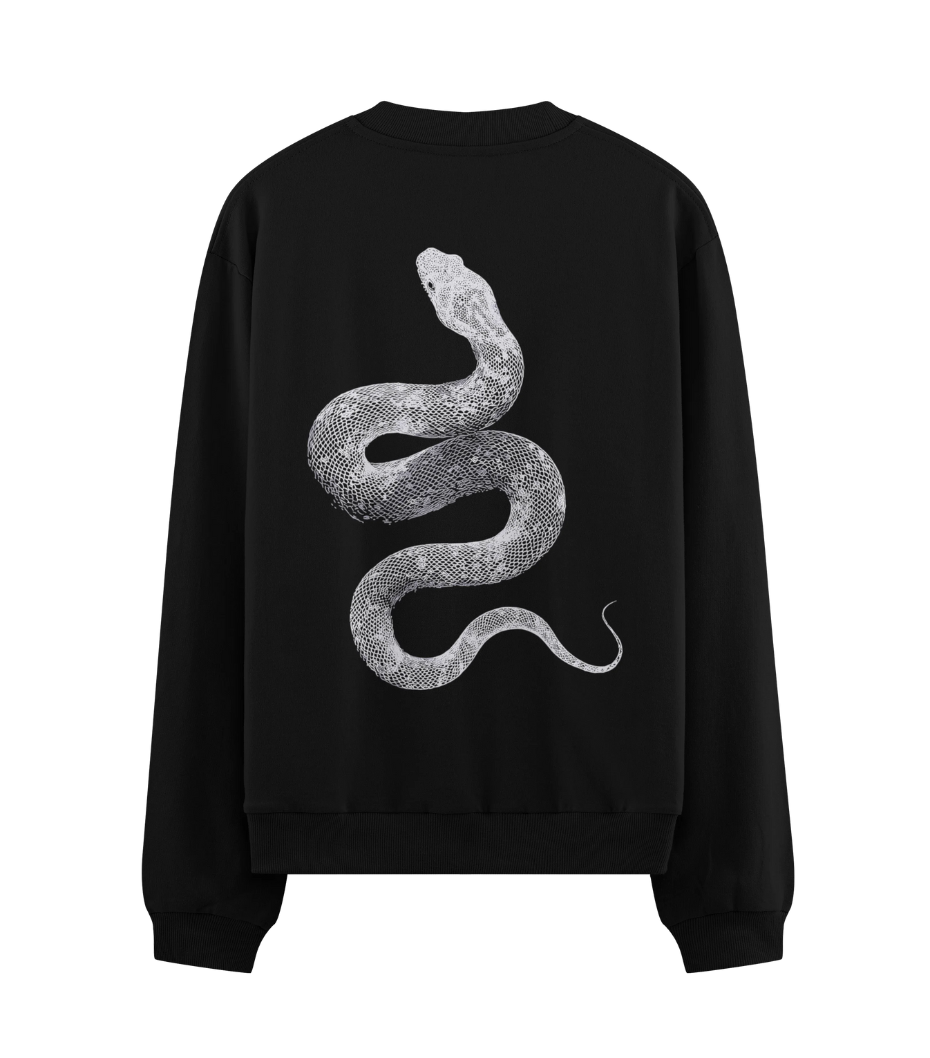 Snake artwork on PRDGY sweatshirt