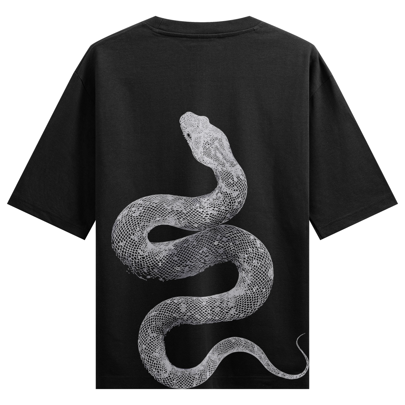 Snake artwork on PRDGY oversized t-shirt