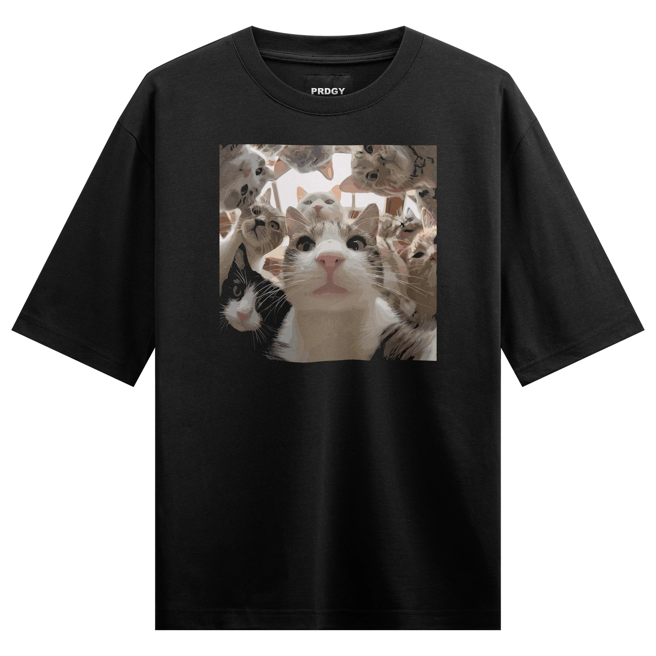 Cats artwork on PRDGY oversized t-shirt