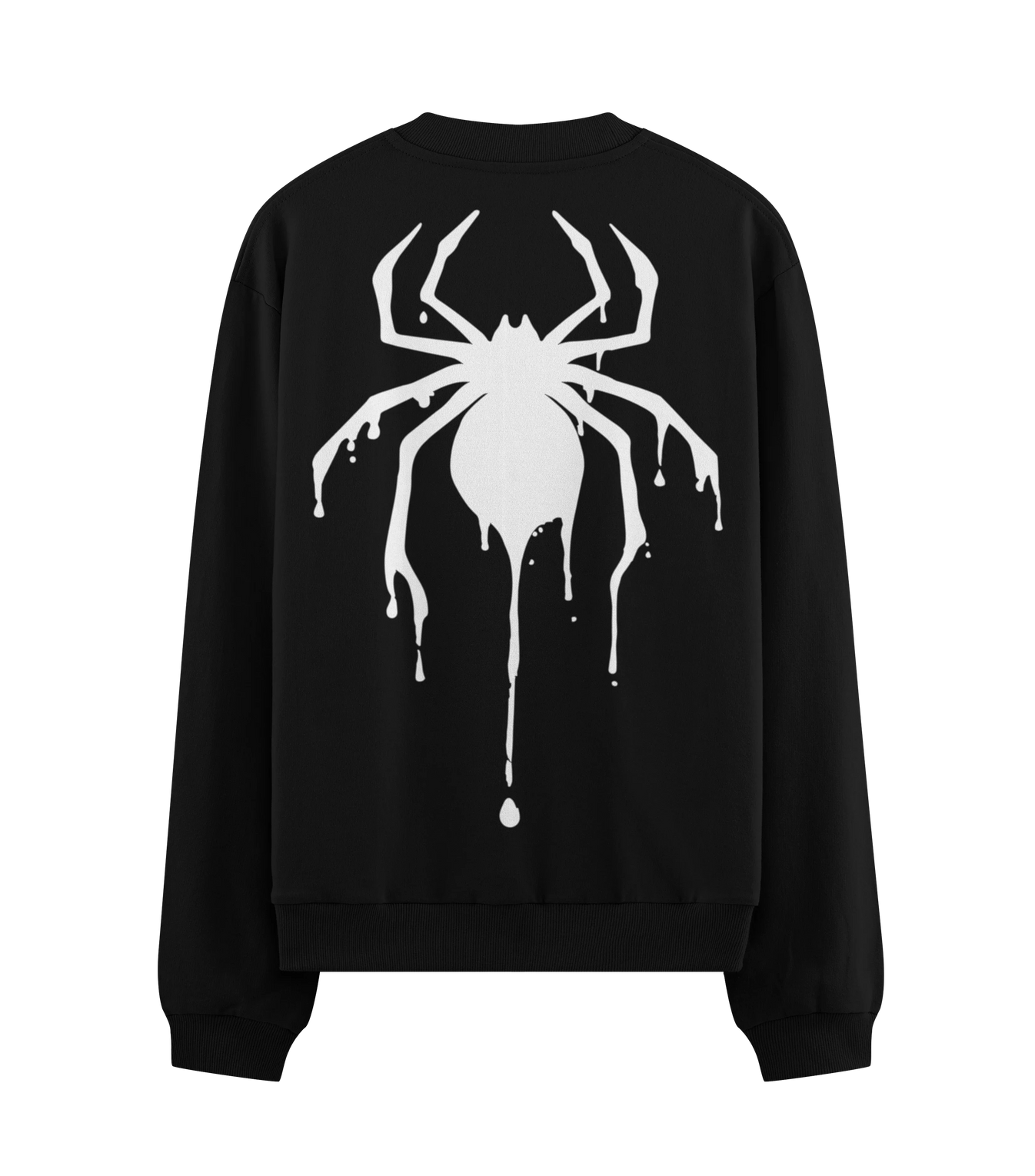 Spider artwork on PRDGY sweatshirt