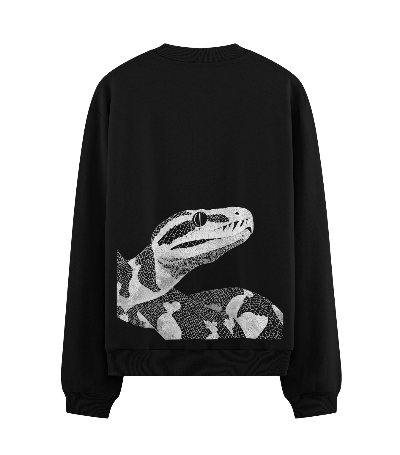 Snake artwork on PRDGY sweatshirt