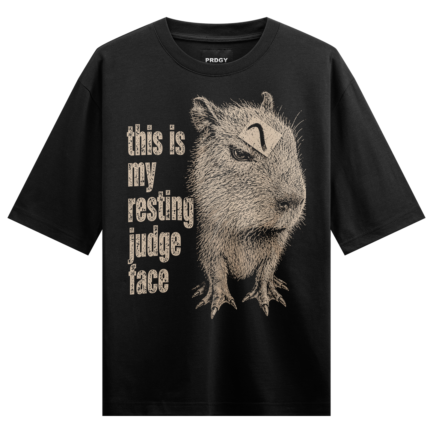 PRDGY Judgey Capybara Oversized T-shirt