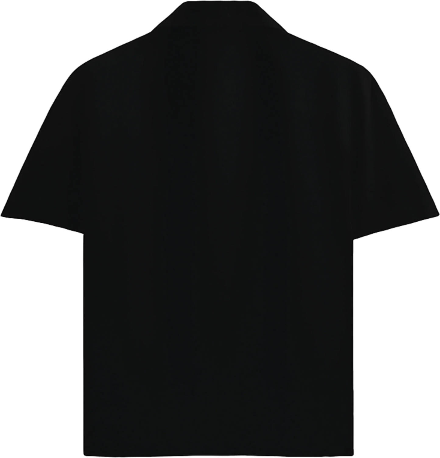 PRDGY Tail Cat Oversized Half-Shirt