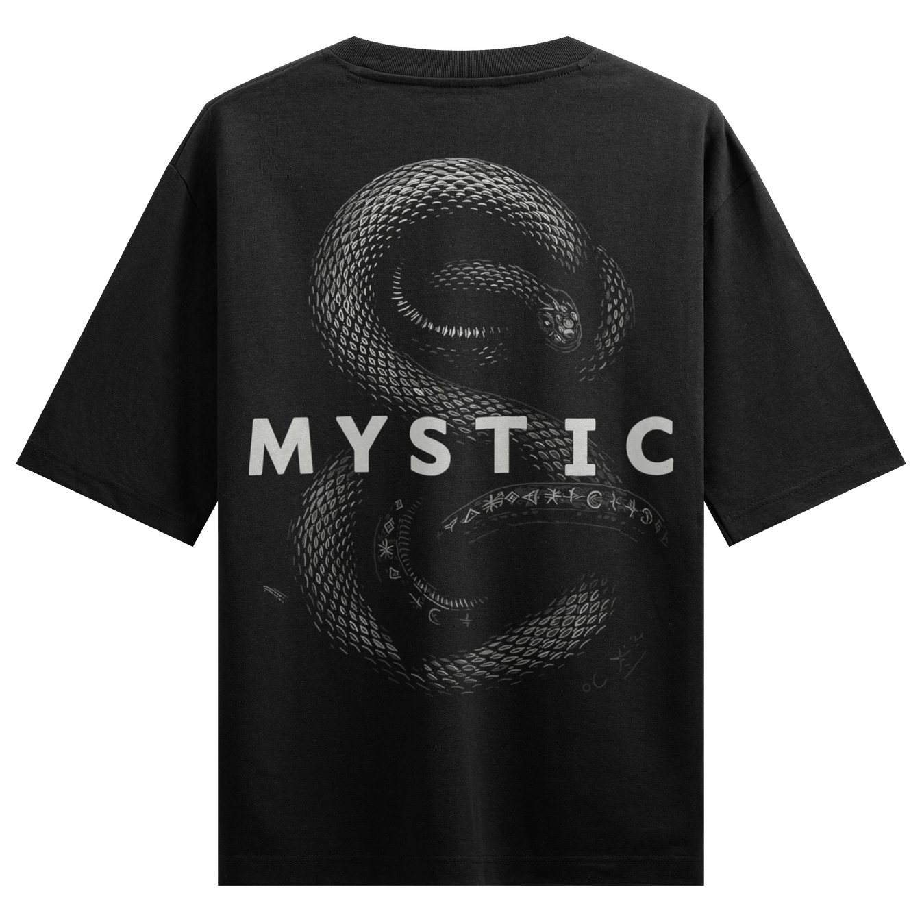 Snake artwork on PRDGY oversized t-shirt
